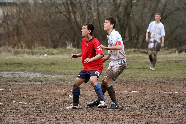 篮球CBA最佳球员评选结果公布